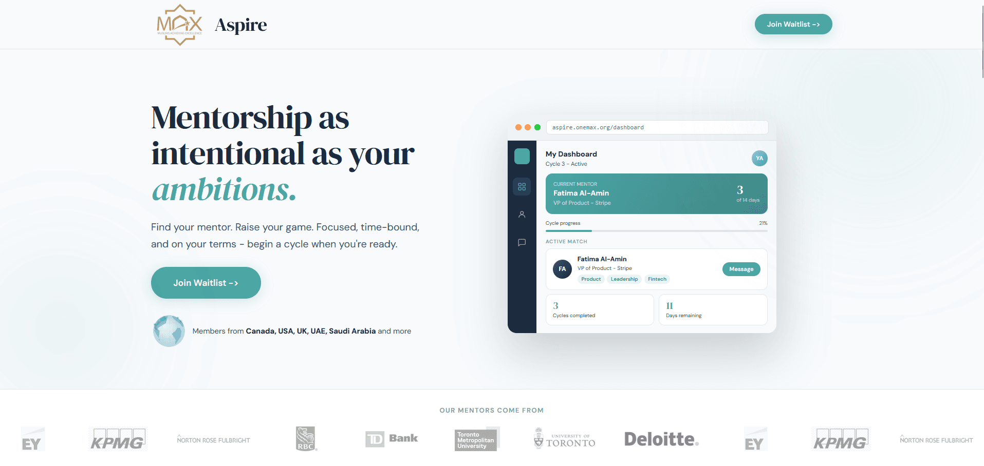 MAX Aspire website preview