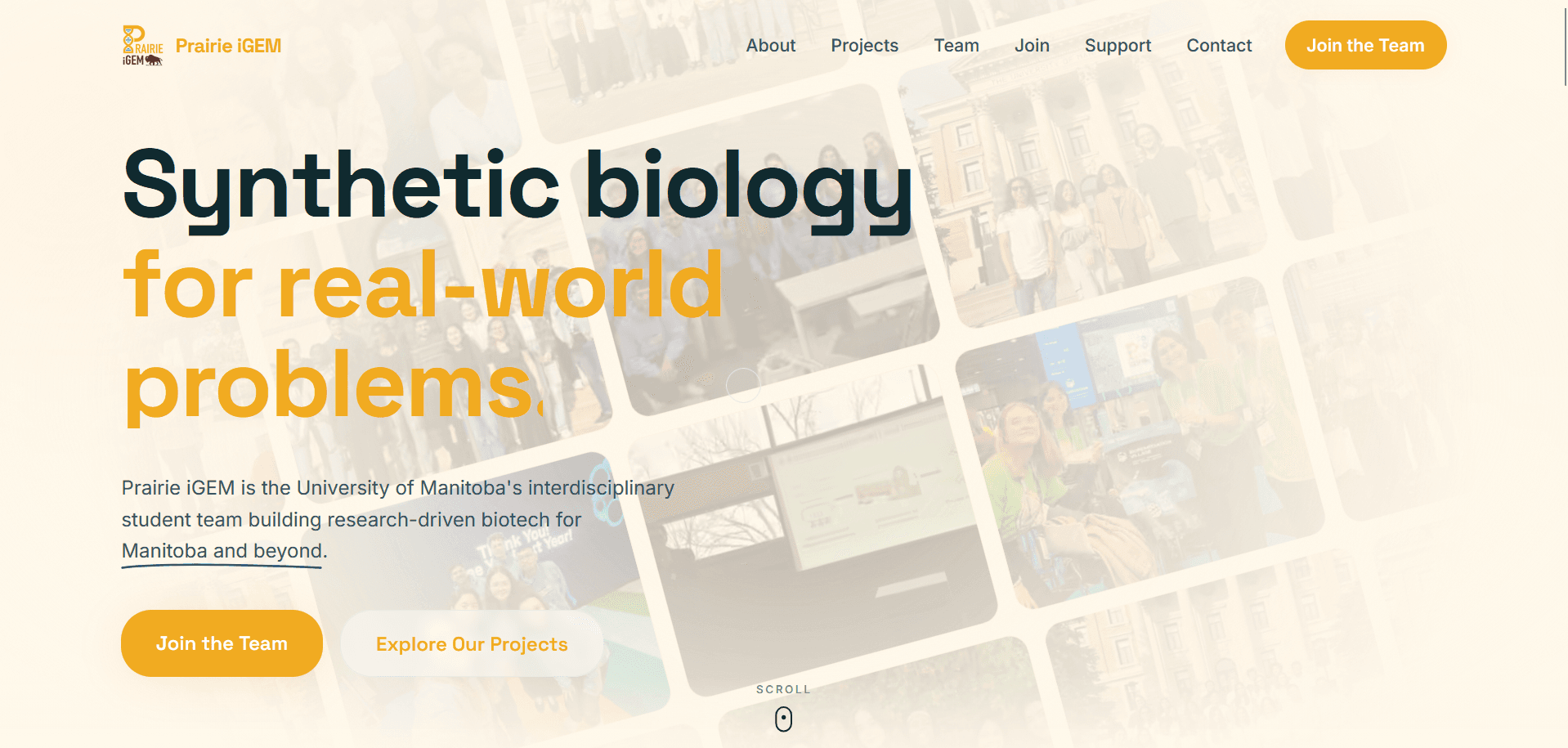 Prairie iGEM website preview